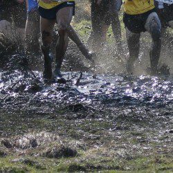 Cross country: Paced to perfection