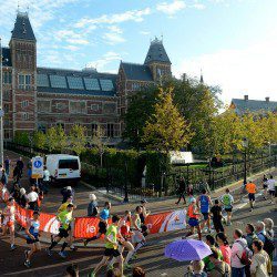 A White Horse Harrier in Amsterdam