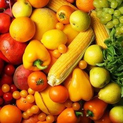 The nutrition solution