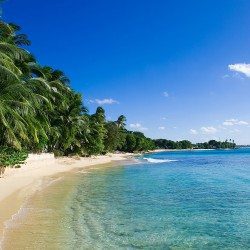 Running in beautiful Barbados
