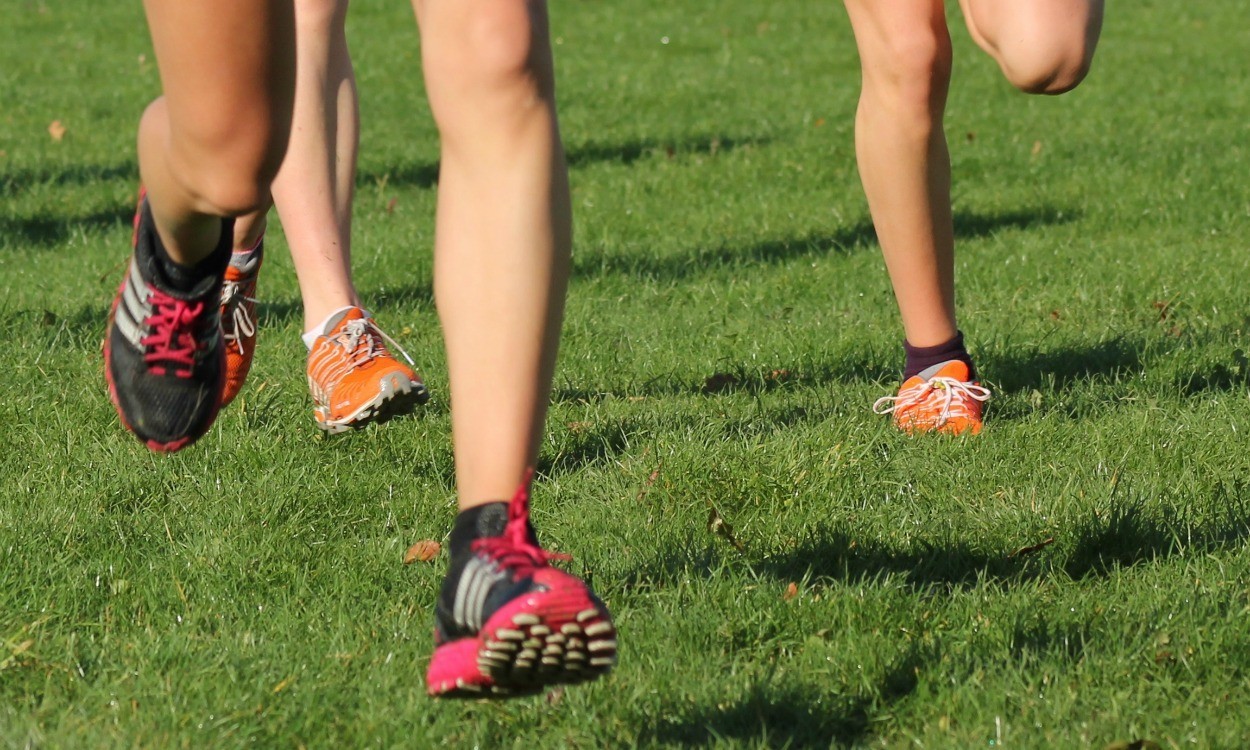 Ankle injuries