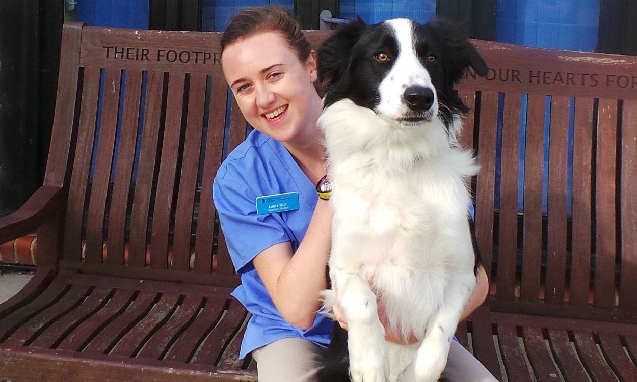 Laura Muir: From Diamond League to Dogs Trust
